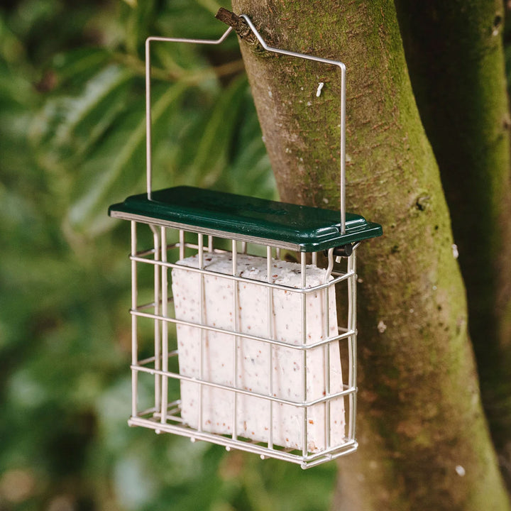 Peckish All Weather Suet Cake Feeder Filled in a tree