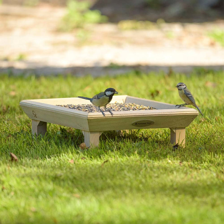 National Trust Bird Ground Feeding Table In the garden with wild birds using it
