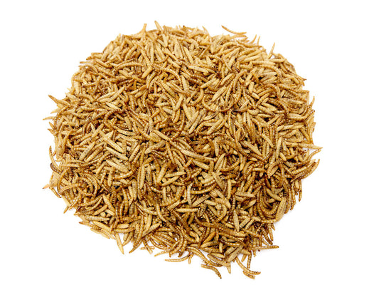 5 Litre Dried Chubby Mixes (Mealworms & Black Soldier Fly Larvae)