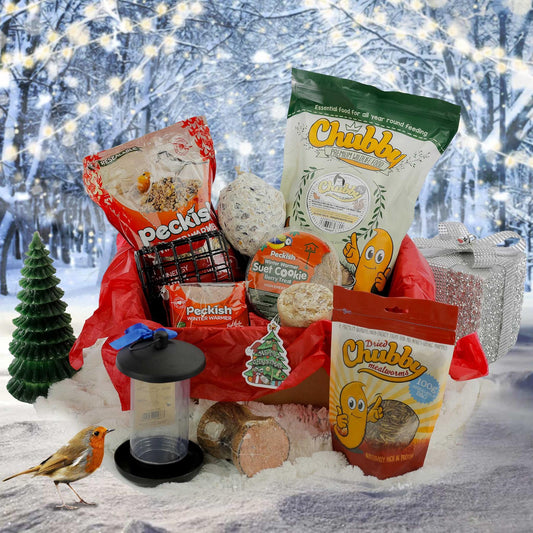 Winter Wonderland Gift Pack 🎅❄️ Limited Stock Available