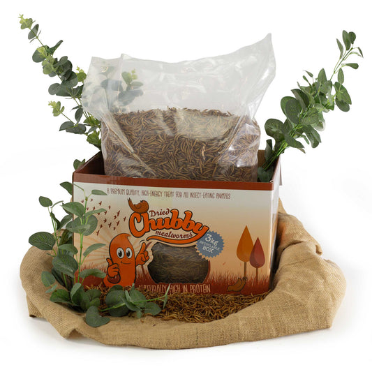 3Kg Box of Chubby Dried Mealworms