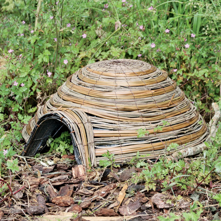 Hedgehog Home