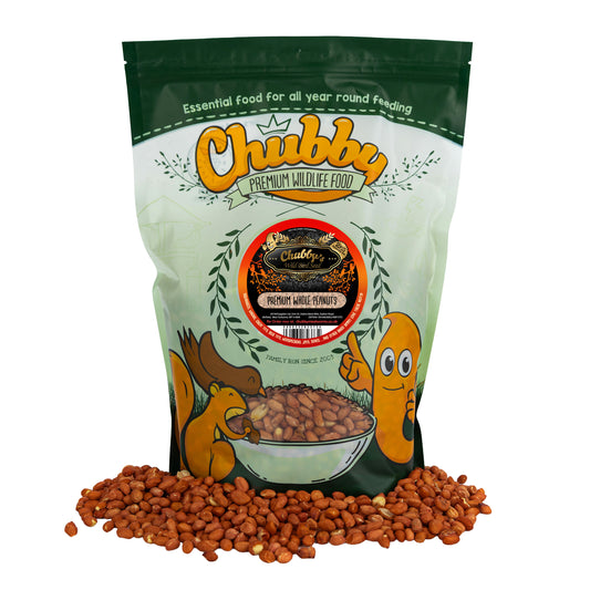 Chubby 2kg Whole Peanuts for Wild Birds - Biodegradable Bag