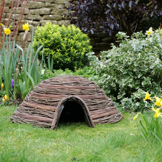 Hedgehog Home