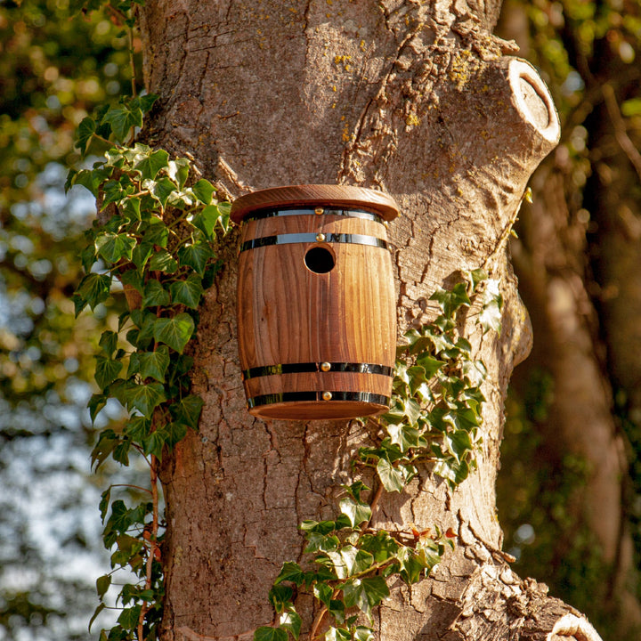 Side angle showing barrel nest box entrance and curved timber structure