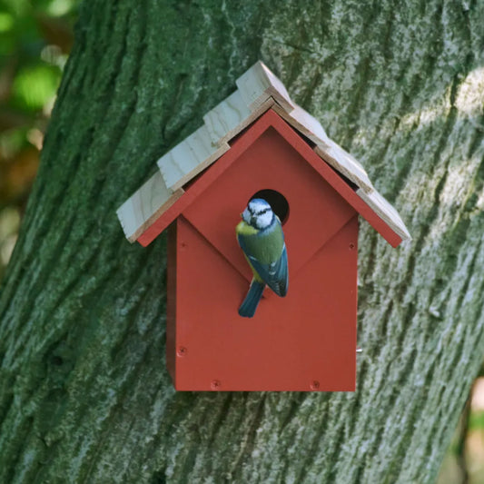 Diamond Nest Box - Red