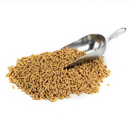 2Kg Chubby High-Energy Mealworm Suet Pellets