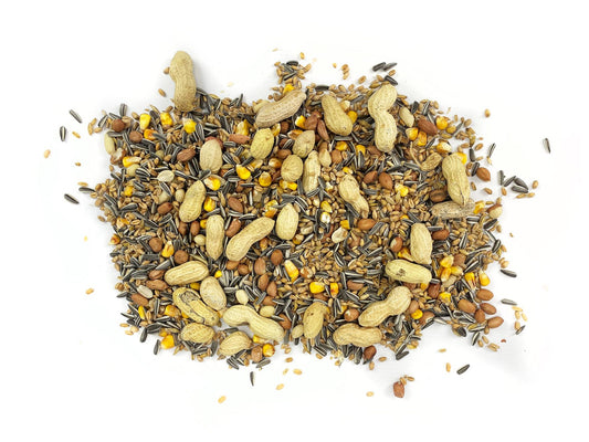 Chubby Forest Feast Squirrel Food - Seed & Nut Mix 5kg