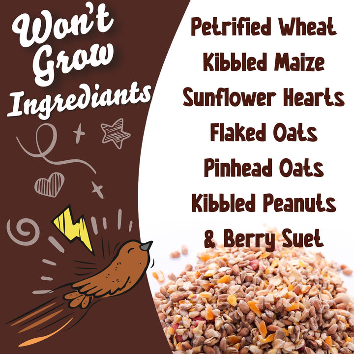 Chubby's Wild Bird Seed - Won't Grow 25.2Kg