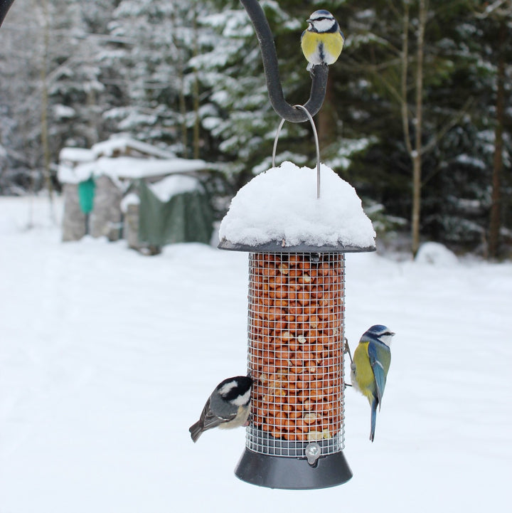 CJ Wildlife Adventurer Metal Peanut Bird Feeder in the snow