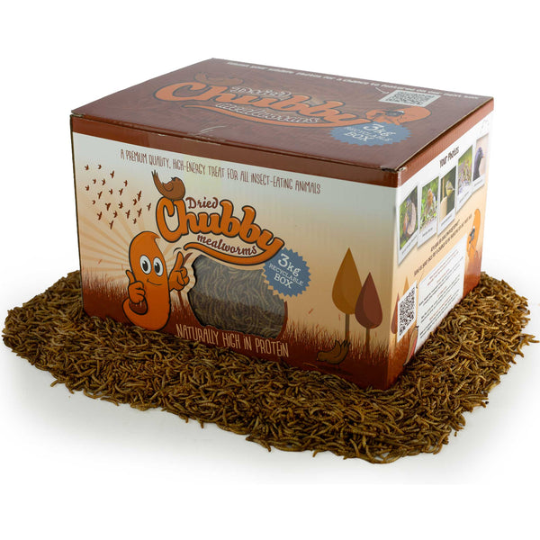 3Kg Box of Chubby Dried Mealworms