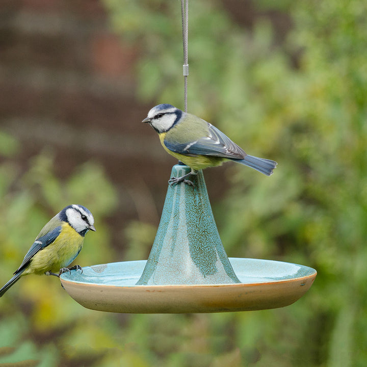 National Trust Vierno Tajine Water Dish with birds using it