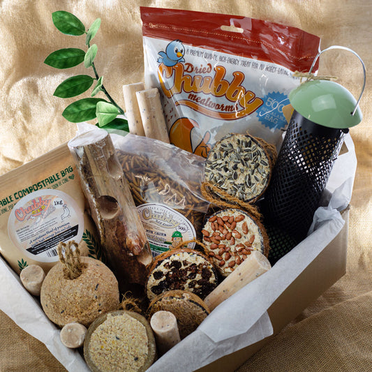 New Years Nature Boost Box Contents View