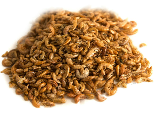 3Kg of Chubby Dried Gammarus