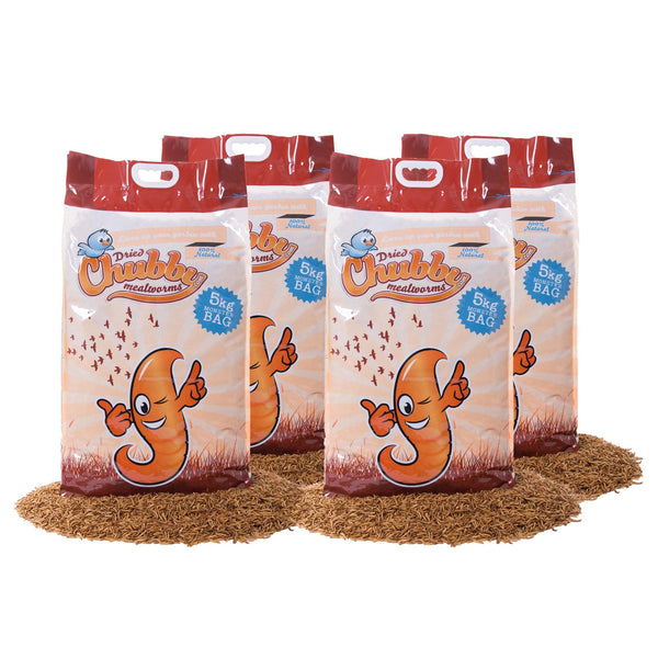 20Kg Chubby Dried Mealworms