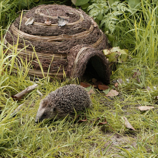 Wildlife World igloo hedgehog home in garden setting