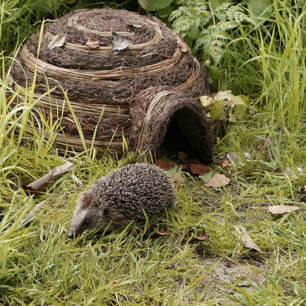 Wildlife World igloo hedgehog home in garden setting