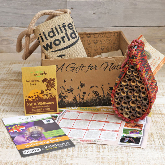 Bee Nester Gift Set
