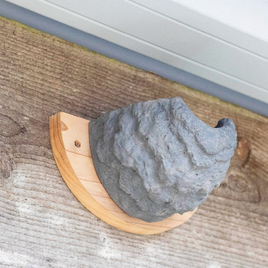 Side profile of ceramic house martin bowl showing curved nest shape and timber backplate.