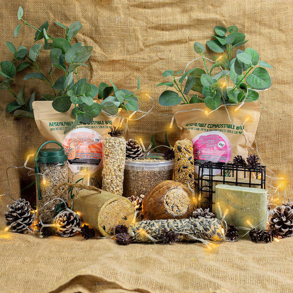 Suet Saver Box For Wild Birds