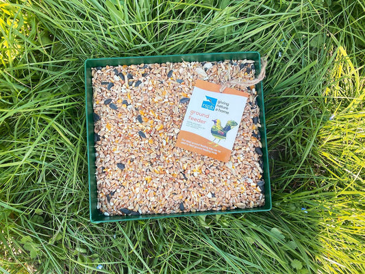 RSPB Green Metal Ground Feeder Tray