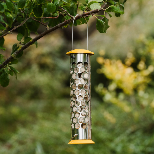 Peckish Extra Goodness Nuggets & Energy Ball Feeder In a Tree