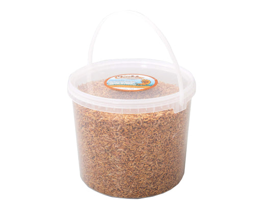 5 Litres of Chubby Dried Gammarus