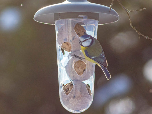 Honeyfield's Dual Suet Ball & Mealworm Feeder - Grey