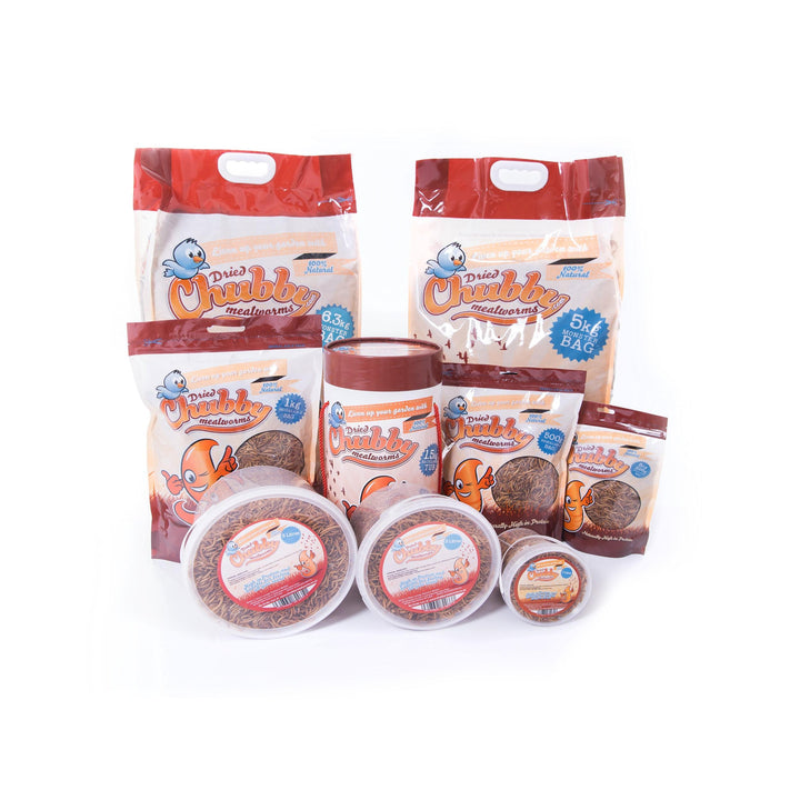 Selction of Different hubby Dried Mealworms Product Sizes