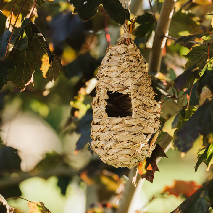 Peckish Bird Roosting Pouch in a tree
