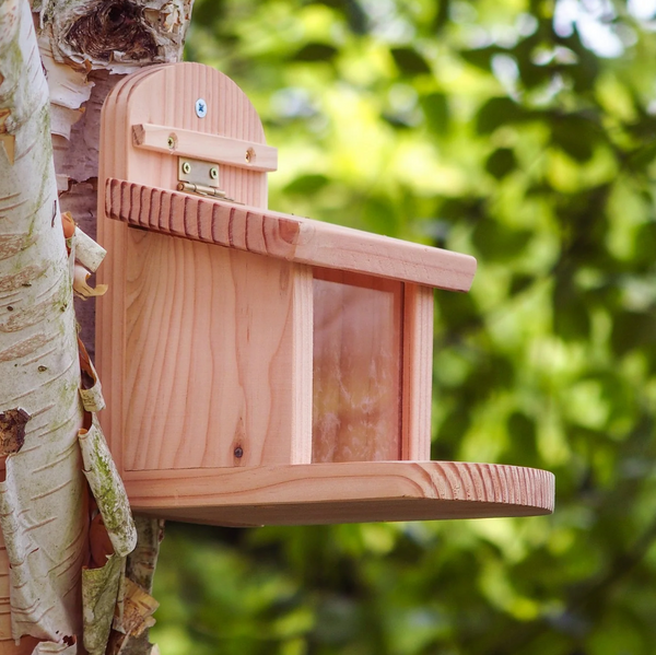 Wildlife World Squirrel Feeder - with Lift up Lid