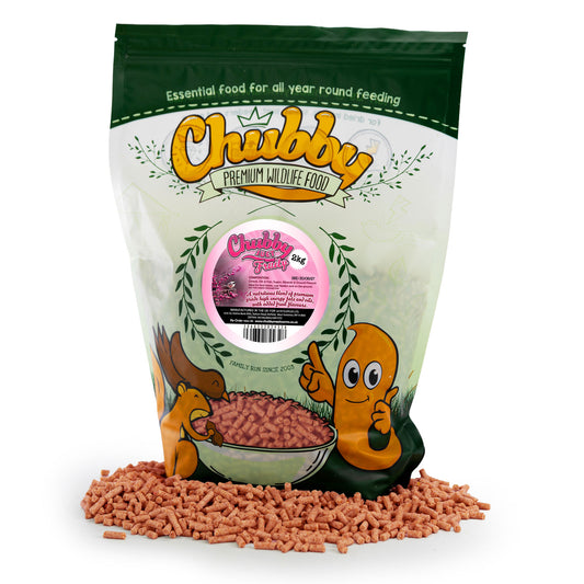 2Kg Chubby High-Energy Fruity Suet Pellets