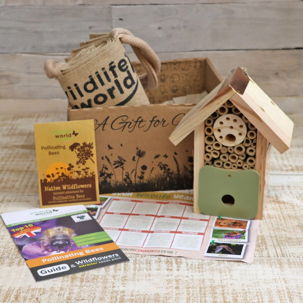 Wildlife World Bee Barn Gift Box