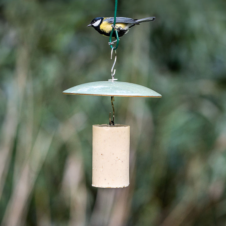 Peanut cake feeder with protective cover keeping bird food dry in rainy weather