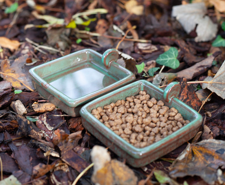 Close-up of the ceramic hedgehog snack bowl showing integral drainage hole and frost-resistant finish