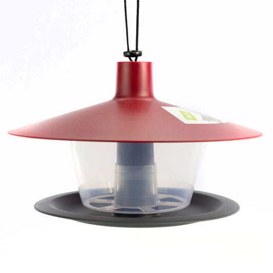 saturn seed feeder
