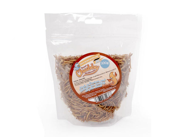 100g Chubby Dried Mealworms