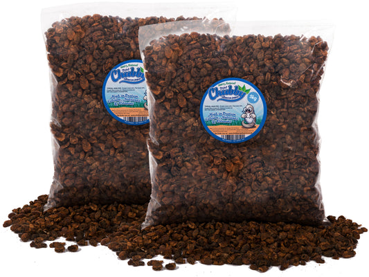 10Kg Chubby Dried Silkworm Pupae
