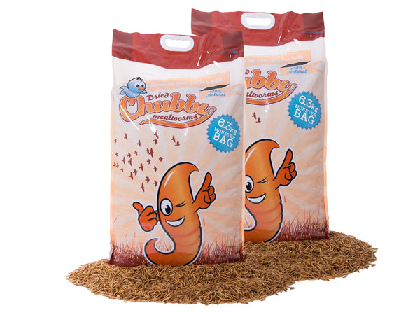 12.6Kg Chubby Dried Mealworms