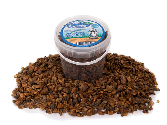 1 Litre Chubby Dried Silkworm Pupae