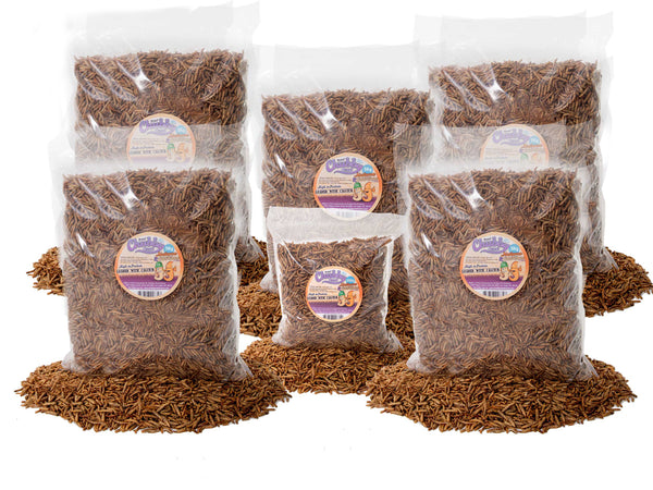 25.2Kg Chubby Dried Mixes (Mealworms & Black Soldier Fly Larvae)