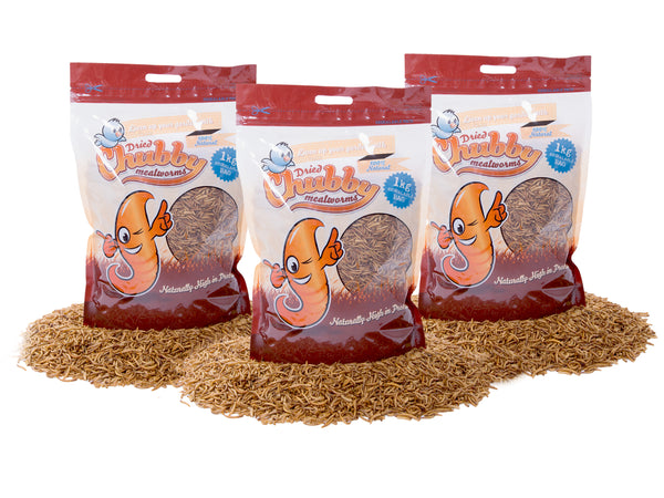 3Kg Dried Chubby Mealworms