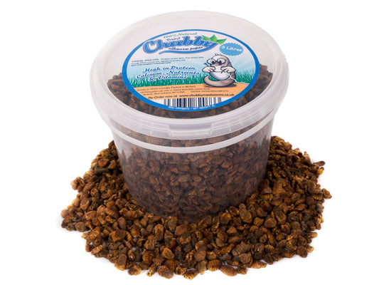 3 Litre Chubby Dried Silkworm Pupae