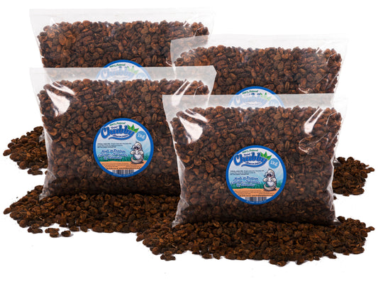 4Kg Dried Chubby Silkworm Pupae