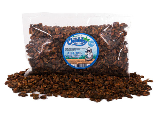 500g Dried Chubby Silkworm Pupae