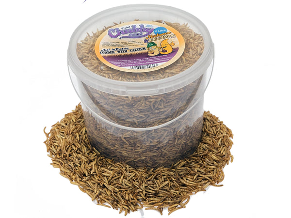 5 Litre Dried Chubby Mixes (Mealworms & Black Soldier Fly Larvae)