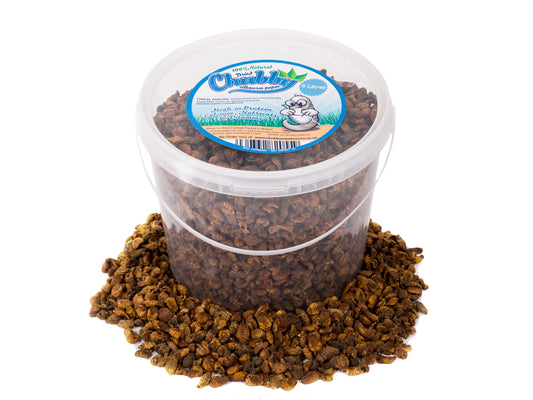 5 Litre Dried Chubby Silkworm Pupae