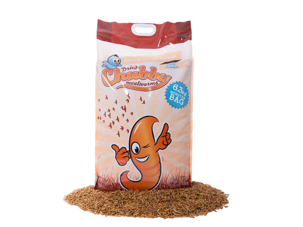 6.3Kg Dried Chubby Mealworms