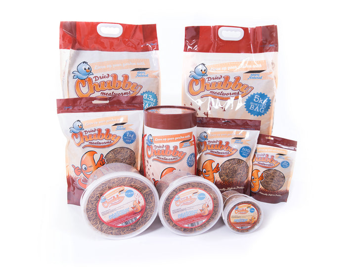 Chubby Mealworms The #1 Brand of Dried Mealworms