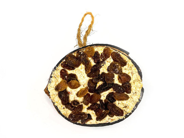 Chubby Wild Bird Food Half Filled Coconut - Topped with Raisins